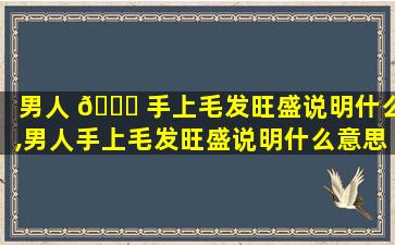 男人 🐒 手上毛发旺盛说明什么,男人手上毛发旺盛说明什么意思